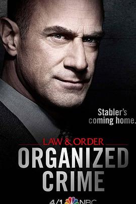 法律与秩序：组织犯罪第一季 第04集