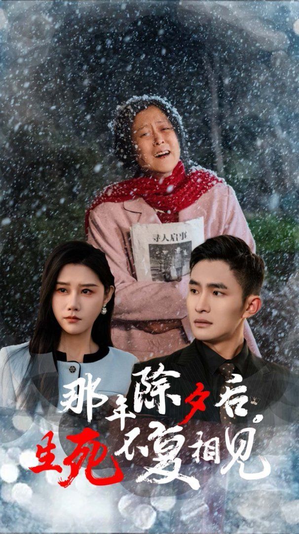 那年除夕后生死不复相见 第1-20集