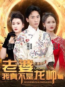 老婆我真不是龙帅啊 第61-80集