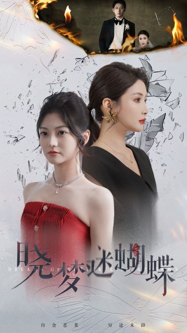晓梦迷蝴蝶 第21-40集