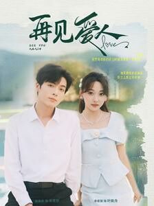 新再见爱人 第61-81集完结(大结局)