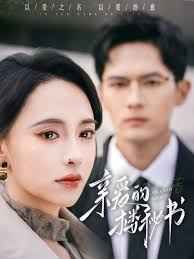 亲爱的楼秘书 第1-20集