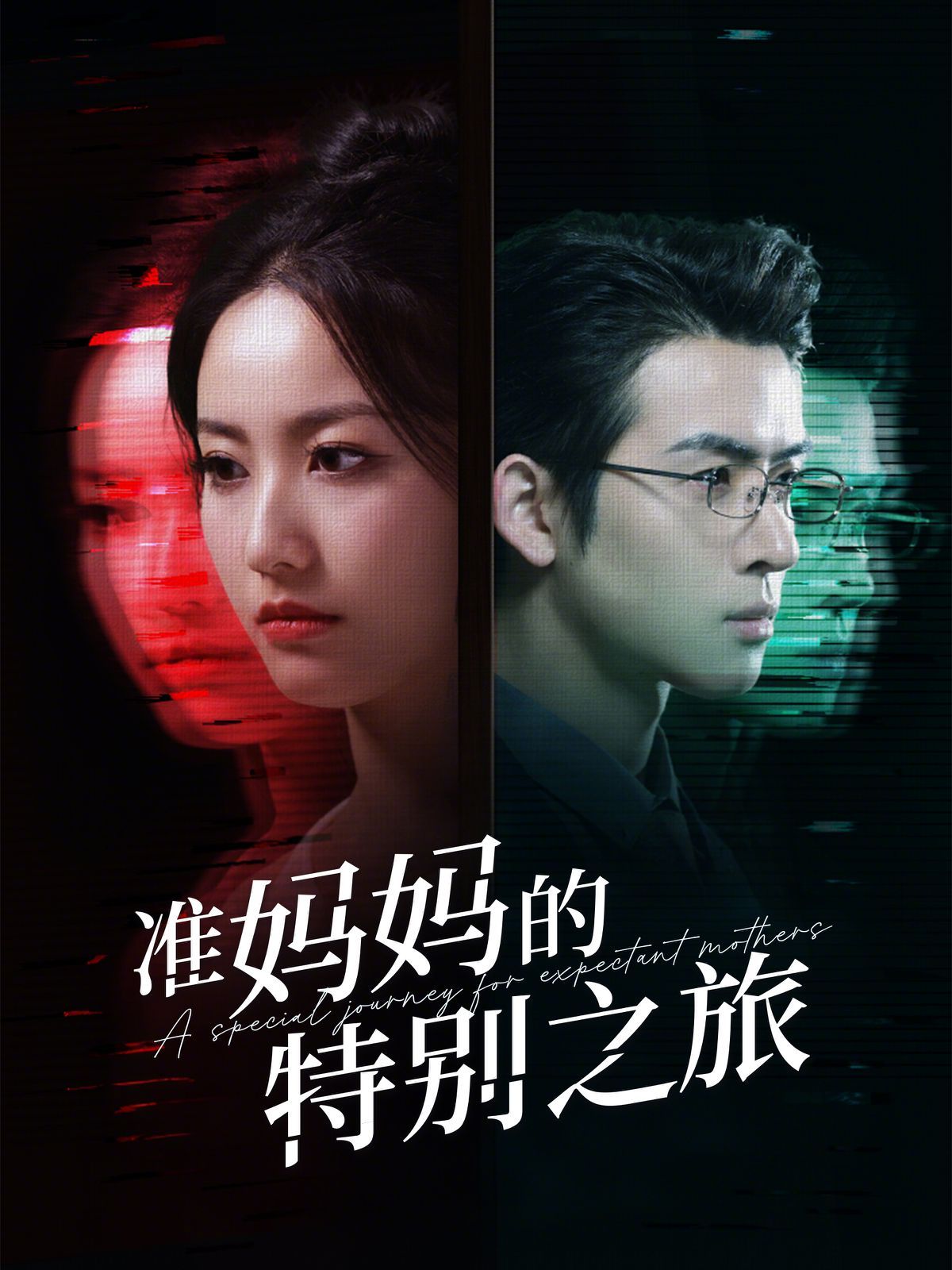 准妈妈的特别之旅 第1-20集