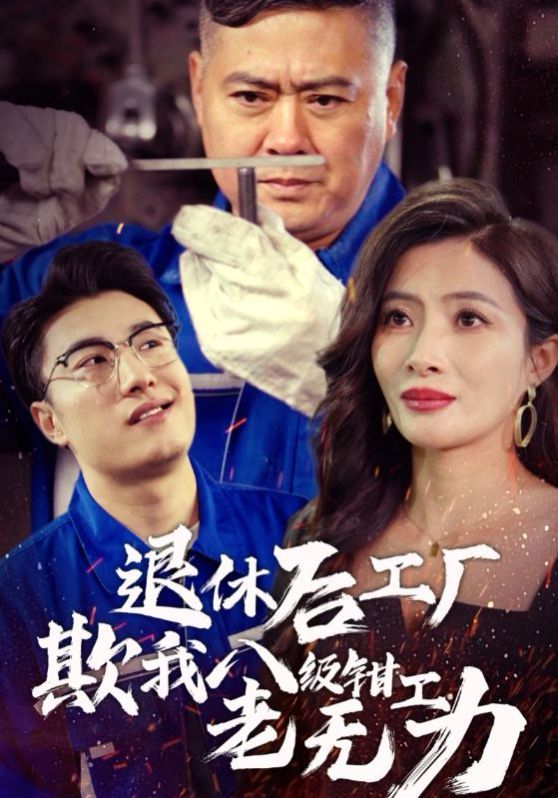 退休后工厂欺我八级钳工老无力 第1-20集