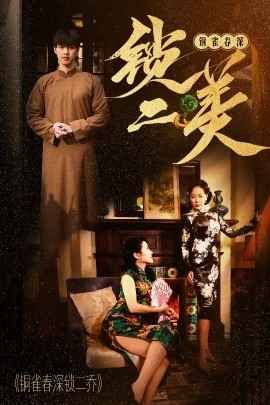 铜雀春深锁二美 第1-20集
