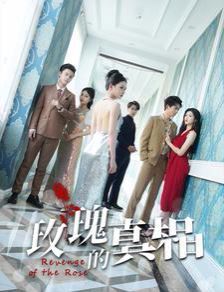 玫瑰的真相 第41-60集