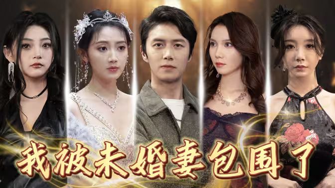 我被未婚妻包围了 全集