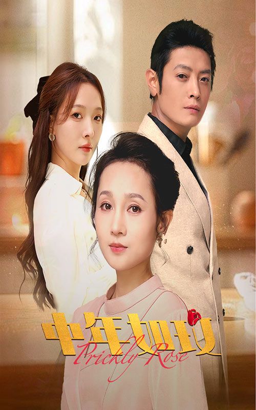 中年如玫 全集(大结局)