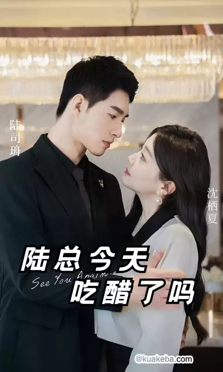陆总今天吃醋了吗 第21-40集