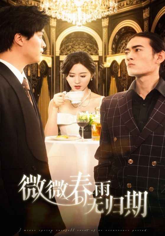 微微春雨无归期 第1-20集