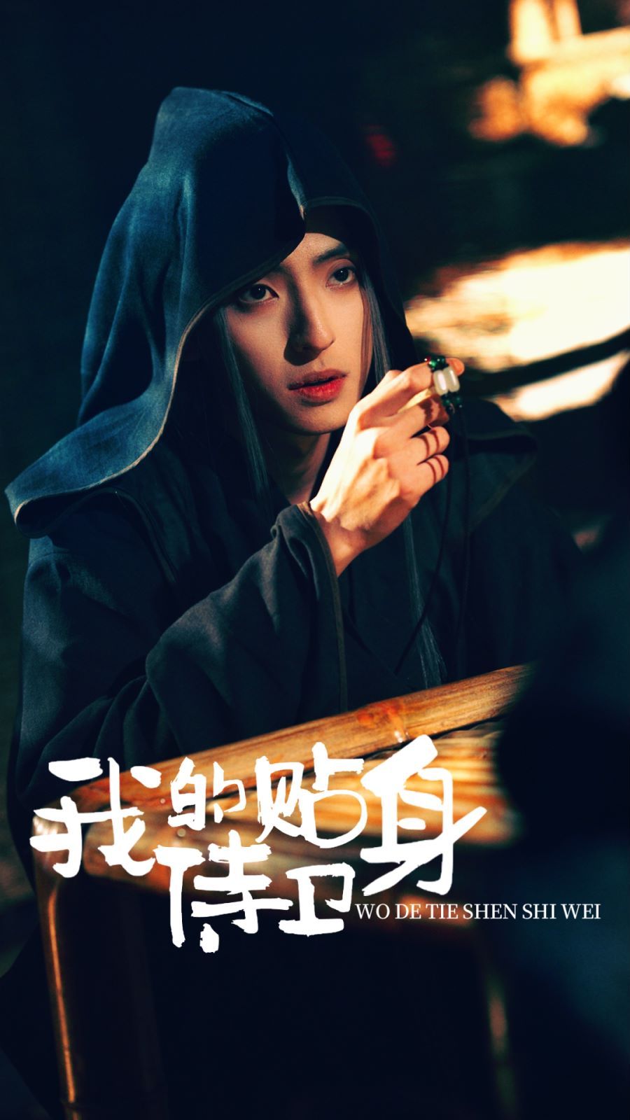 我的贴身侍卫 第41-60集