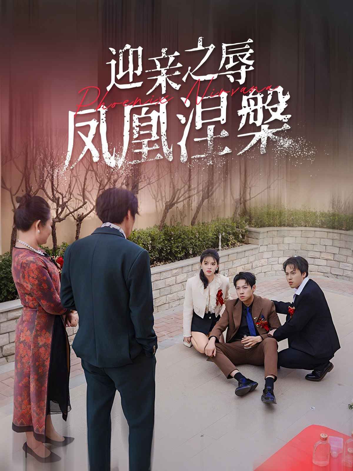 迎亲之辱凤凰涅槃 第1-20集