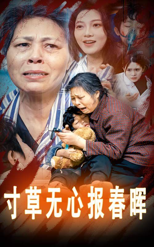 寸草无心报春晖-孝子慈孙 全集完结(大结局)