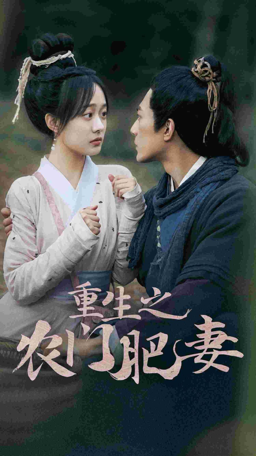 重生之农门肥妻 第41-60集