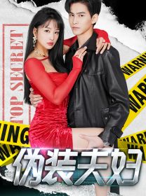 伪装夫妇 第21-40集