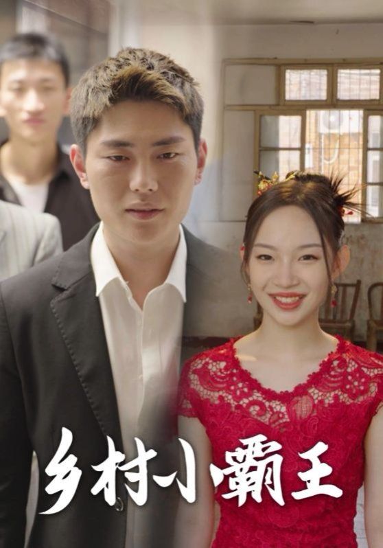 乡村小霸王 第41-60集