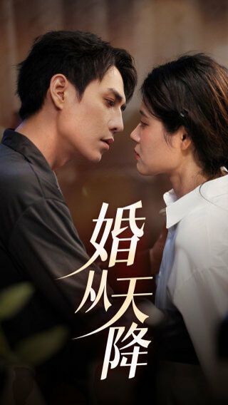 婚从天降 第31-60集