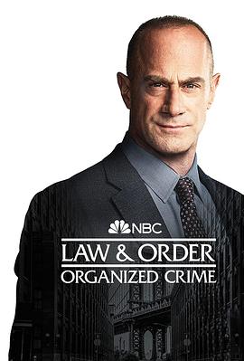 法律与秩序：组织犯罪 第三季 第20集