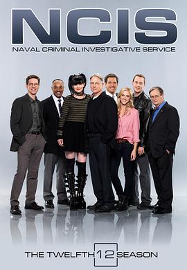 海军罪案调查处第十二季 第15集