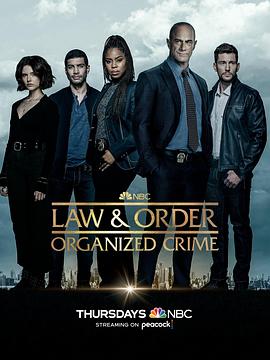 法律与秩序·组织犯罪第三季 第14集
