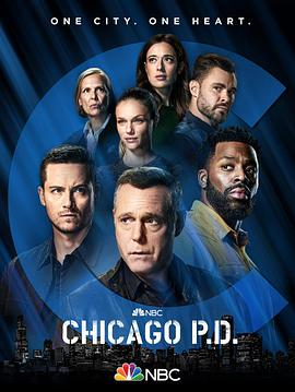 芝加哥警署第九季 第15集
