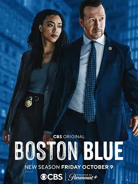 警察世家：波士顿第二季