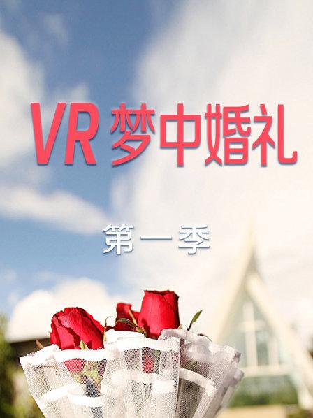 VR梦中婚礼第一季 第04集